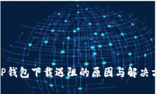: TP钱包下载遇阻的原因与解决方案
