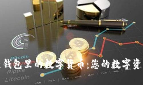 探索区块链钱包里的数字货币：您的数字资产保管宝库