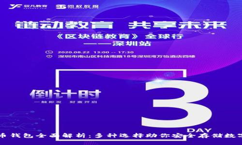 比特币钱包全面解析：多种选择助你安全存储数字资产
