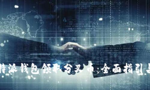 如何在比特派钱包领取分叉币：全面指引与实操技巧