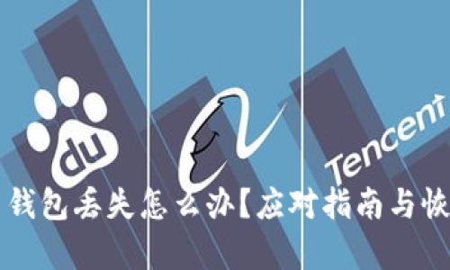 比特币钱包丢失怎么办？应对指南与恢复方法