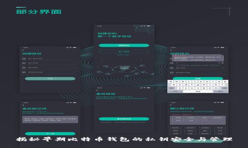揭秘早期比特币钱包的私钥安全与管理
