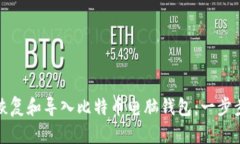 如何恢复和导入比特币电