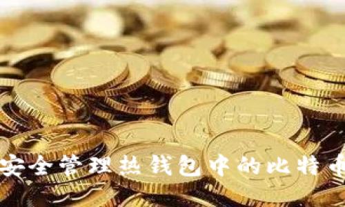 如何安全管理热钱包中的比特币私钥