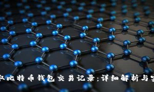 如何读取比特币钱包交易记录：详细解析与实践指导