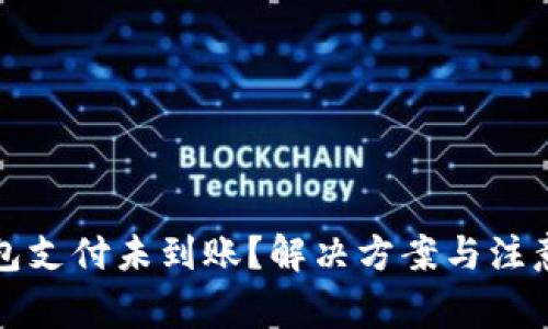 TP钱包支付未到账？解决方案与注意事项