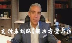 TP钱包支付未到账？解决方案与注意事项