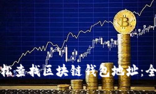 []
如何轻松查找区块链钱包地址：全面指南