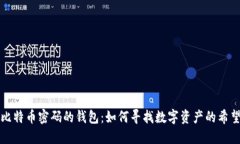 忘记比特币密码的钱包：