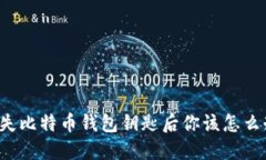 丢失比特币钱包钥匙后你