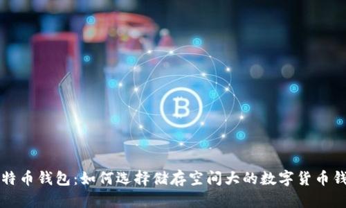 比特币钱包：如何选择储存空间大的数字货币钱包