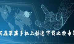 如何在苹果手机上快速下