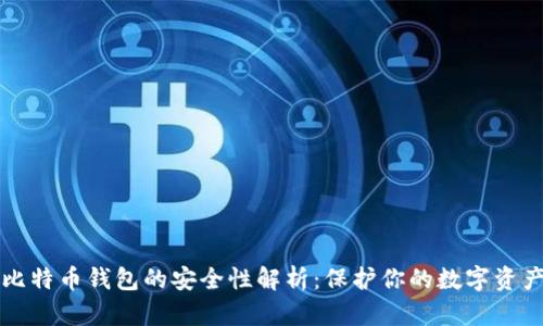 比特币钱包的安全性解析：保护你的数字资产