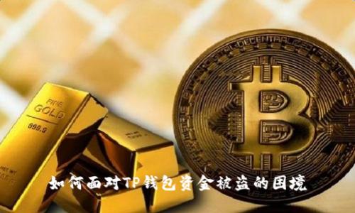 如何面对TP钱包资金被盗的困境