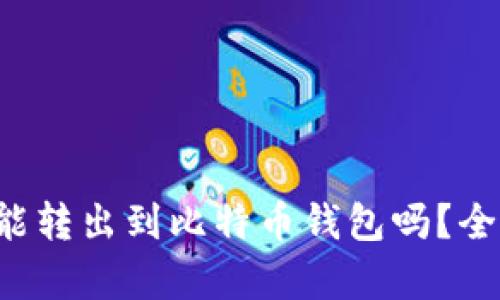 泰达币能转出到比特币钱包吗？全面解读！