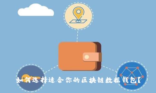 如何选择适合你的区块链数据钱包？