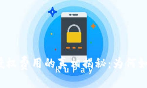 TP钱包授权费用的真相揭秘：为何如此高昂？