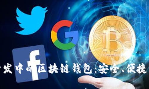探索区块链开发中的区块链钱包：安全、便捷与未来的发展