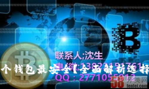 比特币存放哪个钱包最安全？全面解析选择适合你的钱包