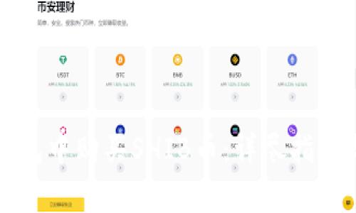 如何在TP钱包中购买SHIB币：详尽指南与注意事项