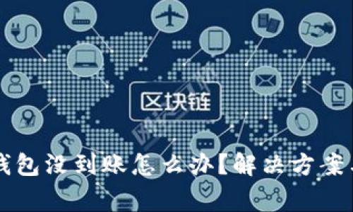 转账到TP钱包没到账怎么办？解决方案与注意事项