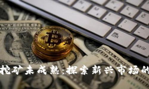 虚拟币钱包挖矿未成熟：探索新兴市场的挑战与机遇
