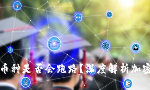  t p钱包中的币种是否会跑路？深度解析加密资产的安全性