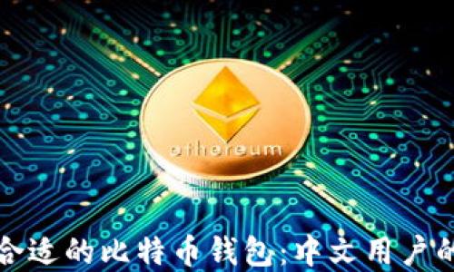 
如何选择合适的比特币钱包：中文用户的详细指南