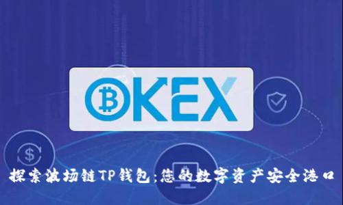 探索波场链TP钱包：您的数字资产安全港口