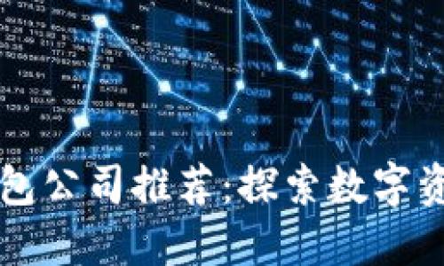 知名区块链钱包公司推荐：探索数字资产管理的未来