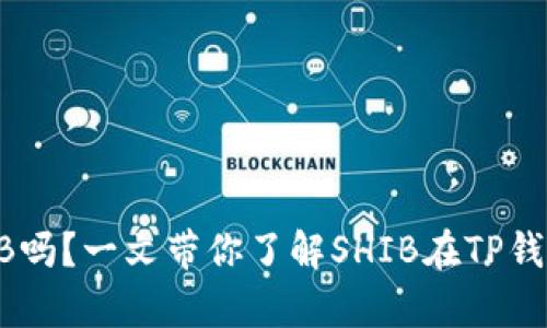 TP钱包能放SHIB吗？一文带你了解SHIB在TP钱包中的存储方法